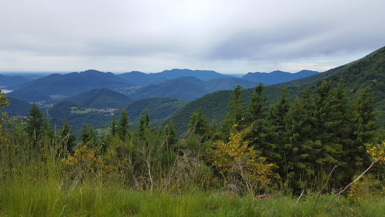 Miglieglia Rustico 빌라 외부 사진